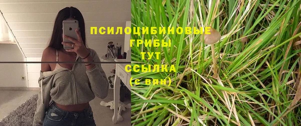герыч Белокуриха