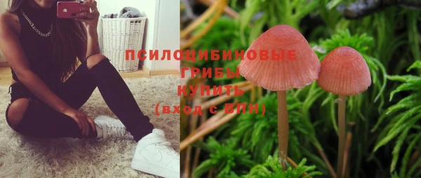 меф Богородицк