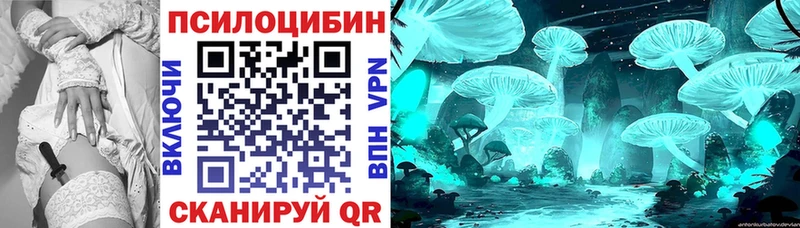 Псилоцибиновые грибы GOLDEN TEACHER  наркота  Великий Устюг 